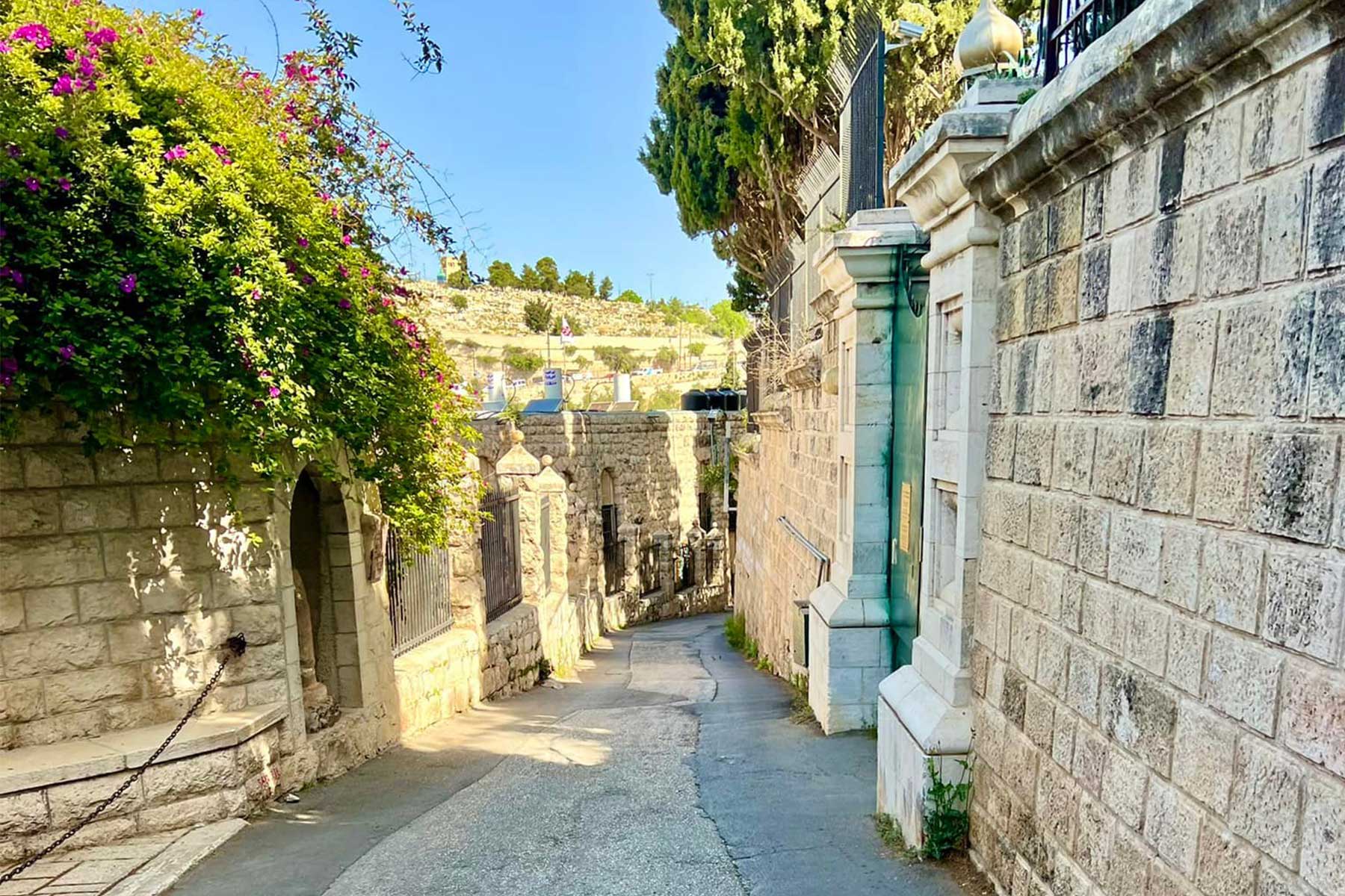 Pictures of narrow road on the Palm Sunday route