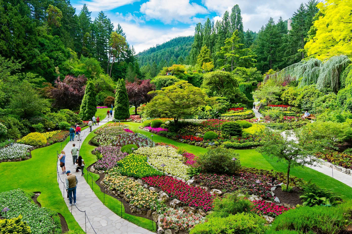 European Elegance in B.C.