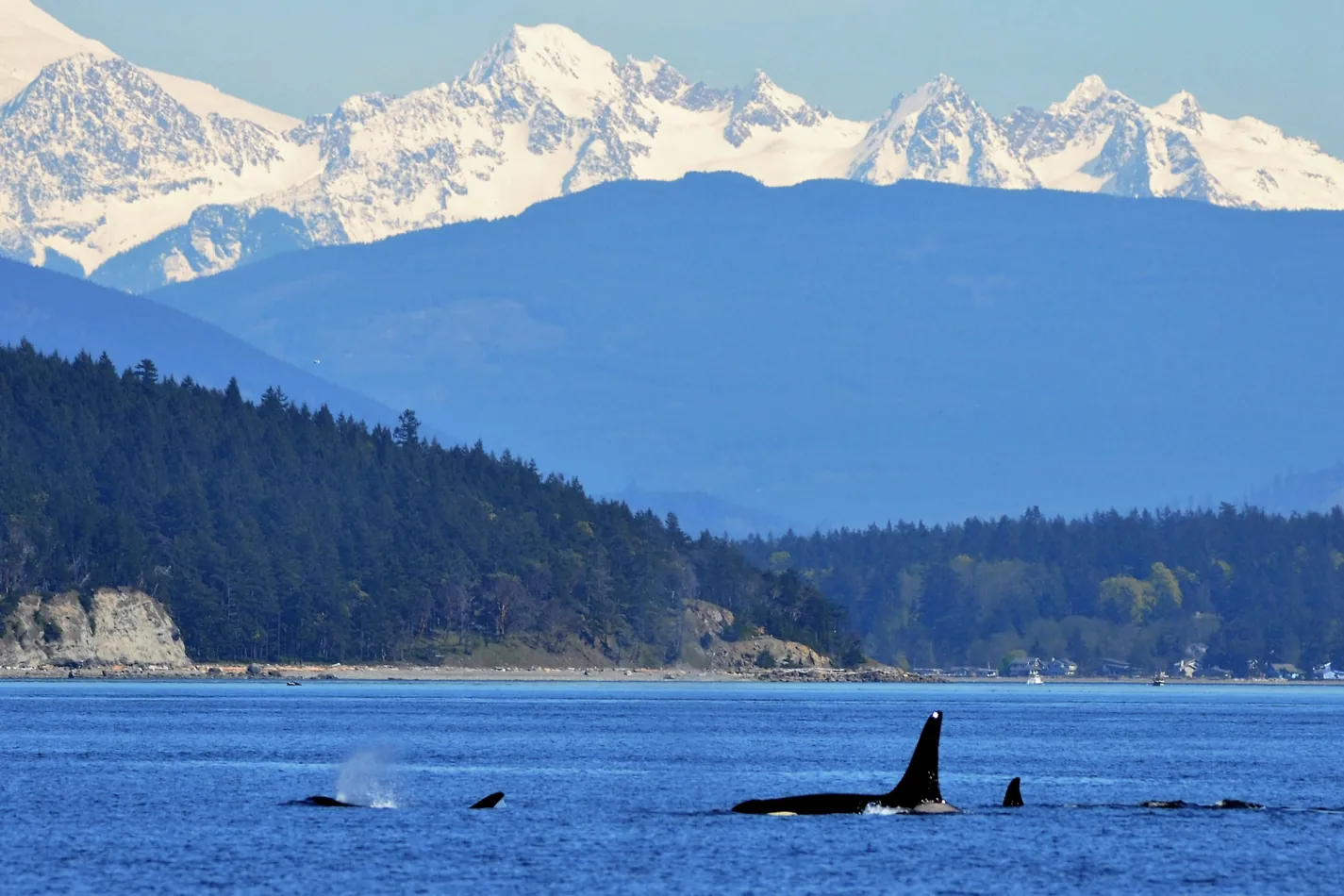 Puget Sound, Alaska