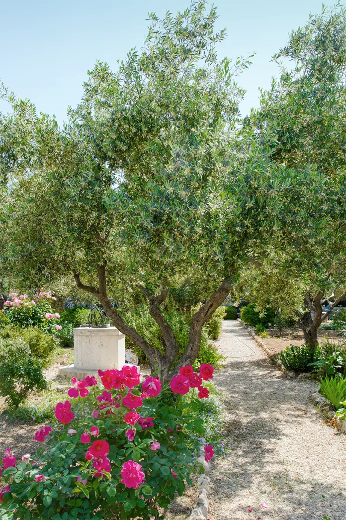 Garden of Gethsemane