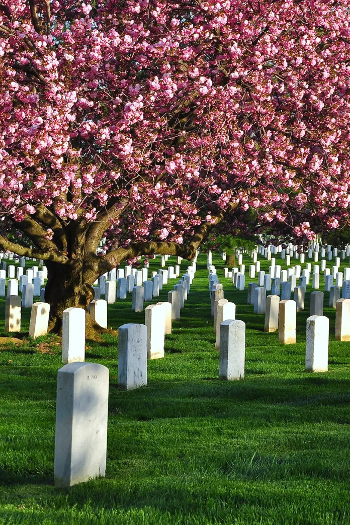 Arlington National Cemetery